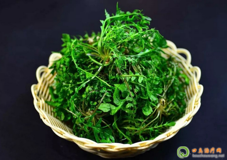 膽結石可以吃薺菜 膽結石可以吃薺菜