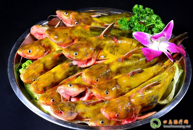 口臭可以吃黃骨魚 口臭可以吃黃骨魚