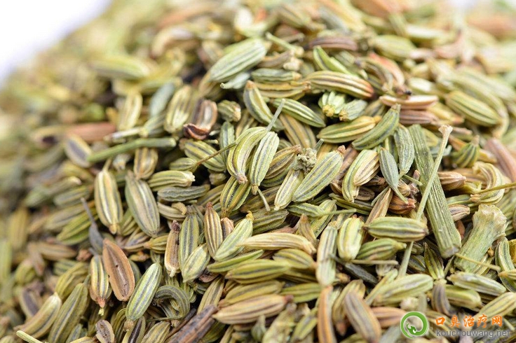 口臭可以吃茴香籽 口臭可以吃茴香籽