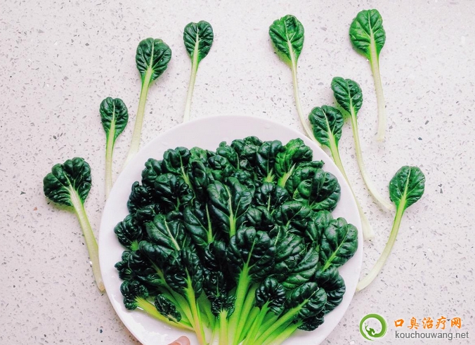 口臭可以吃菊花菜 口臭可以吃菊花菜