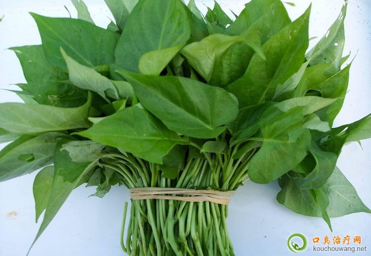 口臭可以吃紅薯葉 口臭可以吃紅薯葉